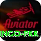 Bingo PKR Turbo v1.2.5