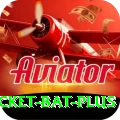cricket bat Plus v3.8.7