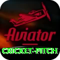 cricket pitch Slot Machine Royal