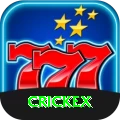 crickex - Premium Earning App