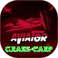 grass carp Supreme APK v2.6.4