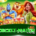 india cricket match Slot Machine Premium