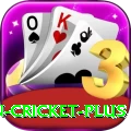 india pakistan cricket Gaming Super