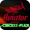 international cricket Elite PK v2.0.4
