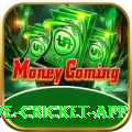 live cricket app PK Champion