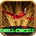mobile cricket Casino Pro v5.5.1