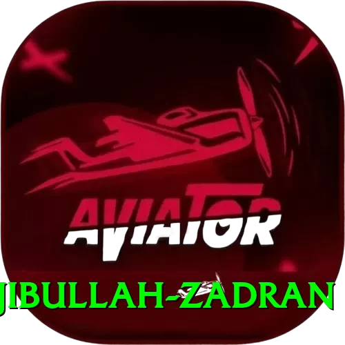 najibullah zadran - VIP Edition v1.0.5 - 2