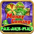 pak aus Slot Machine Plus