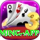 Pakistan Casino Turbo Gaming App