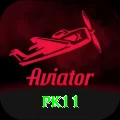 pk11 Pro1 v4.5.3