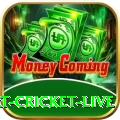 smart cricket live - Casino Elite