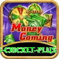 sports cricket Champion - Daily Bonus