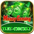 test cricket Pro APK v5.2.6