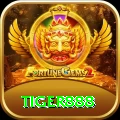 tiger888 Master - Win Real PKR