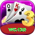 wc t20 Legend v2.5.4